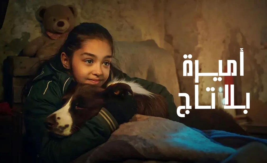 مسلسل اميرة بلا تاج الحلقة 20 العشرون مدبلجة HD