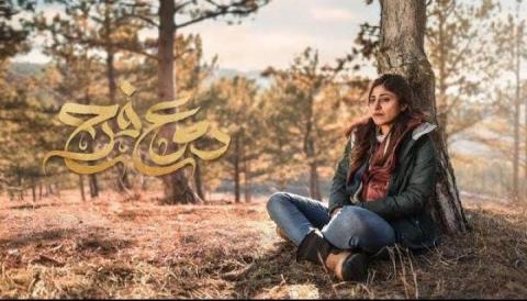 مسلسل دموع فرح الحلقة 6 السادسة